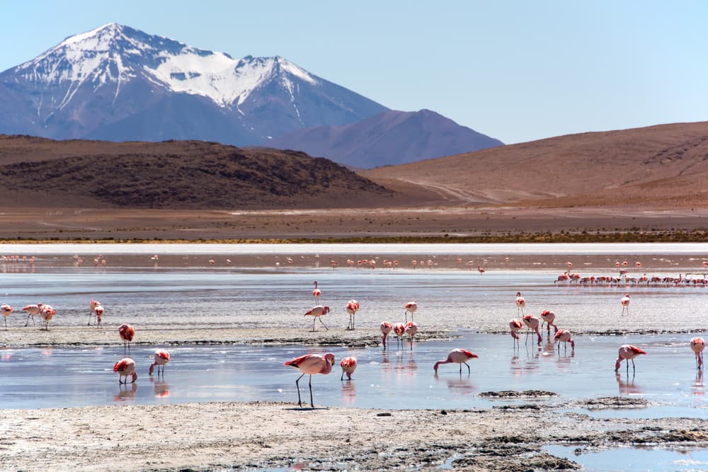 Sud Lipez e confine cileno
